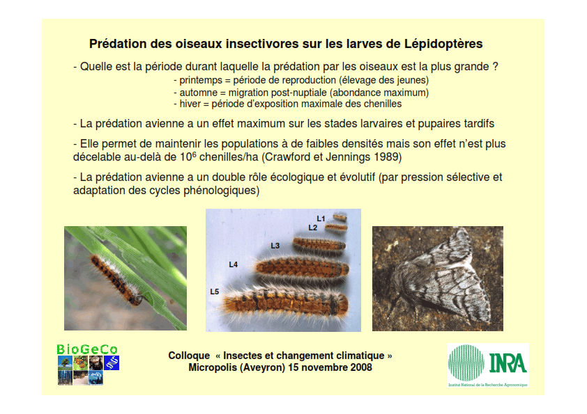 Predation des oiseuax insectivores sur les larves de Lépidoptères
